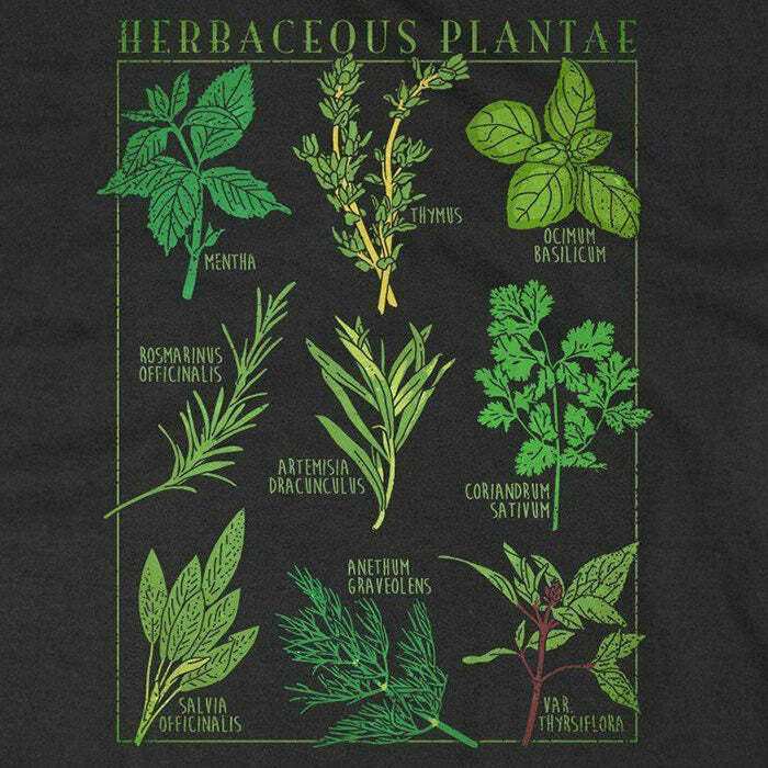 Herbaceous Plantae Y2K Aesthetic T-Shirt for Trendy Outfits