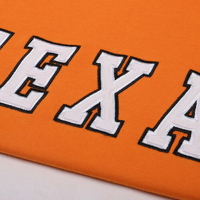 Texas Embroidery Y2K Aesthetic Hoodie for Cozy, Stylish Outfits